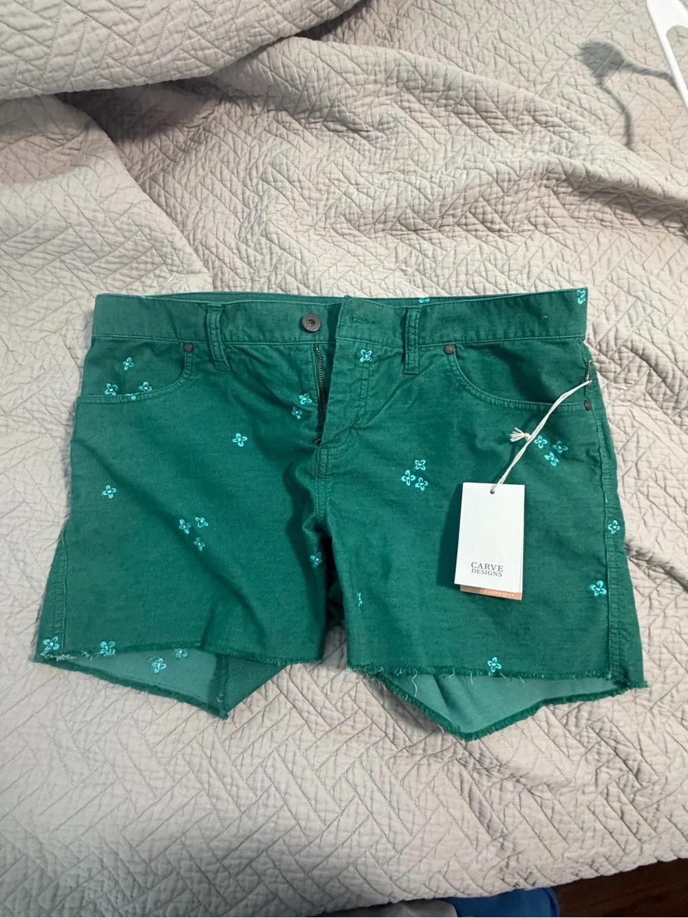Carve Designs Oahu 4" Jade Embroidered Shorts - Picture 1 of 4